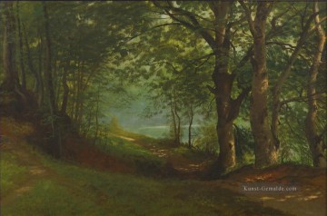 PATH VON EINEM LAKE IN EINEM FOREST Amerikaner Albert Bierstadt Ölgemälde